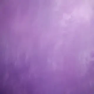 mauve background
