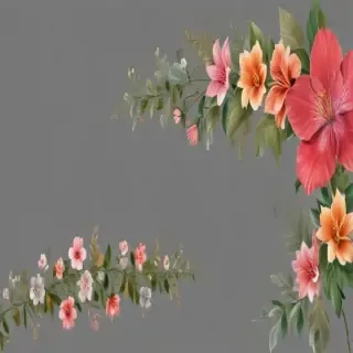 border flower png