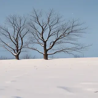 snow transparent background