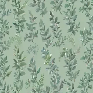 sage aesthetic wallpaper