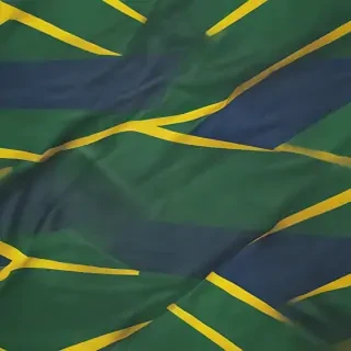 brazilian flag