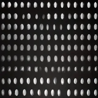 white dots png