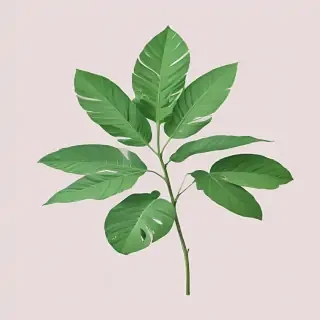 green aesthetic png