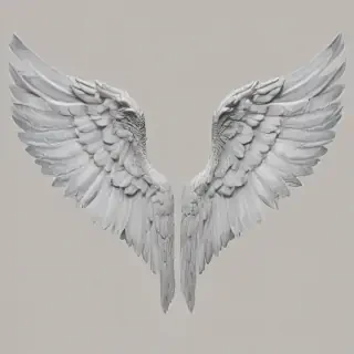 angel wings png transparent