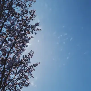 blue bg aesthetic