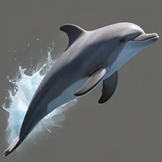dolphin png