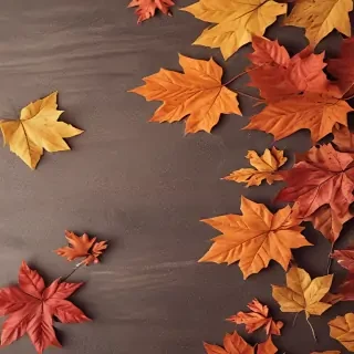 iphone cute fall wallpaper