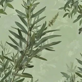 aesthetic sage green