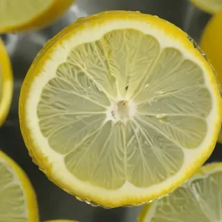 lemon transparent