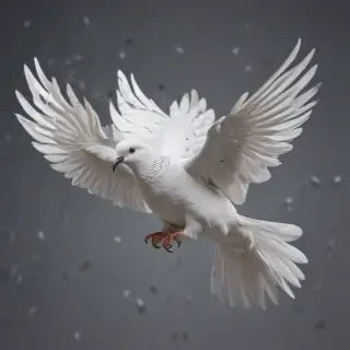 png dove