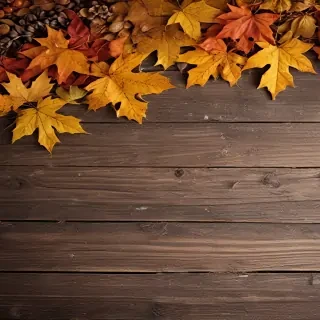 fall wallpaper