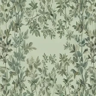 wallpaper aesthetic sage green