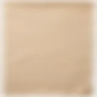 aesthetic ripped paper png
