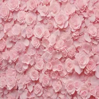 wallpaper aesthetic iphone