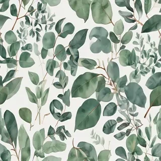 transparent eucalyptus clipart