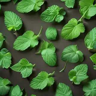 mint background