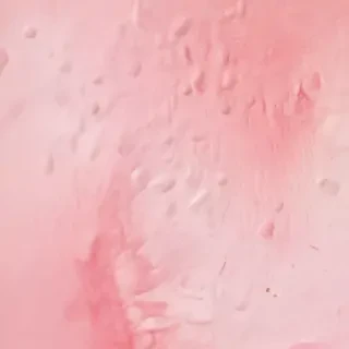 blush background