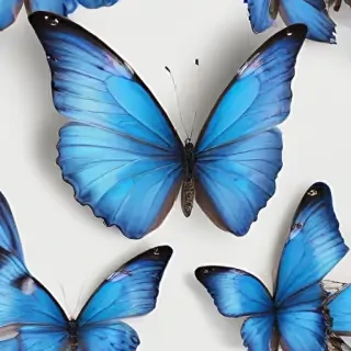 blue butterfly png