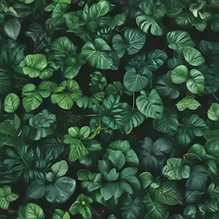 plants background iphone