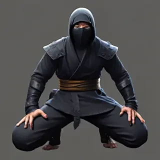 ninja png