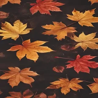 fall wallpapers iphone