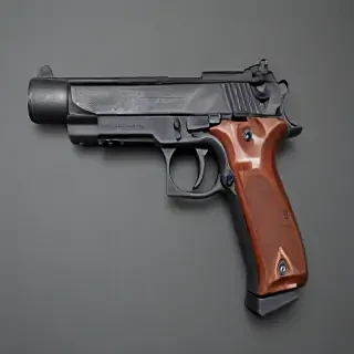 gun with no background