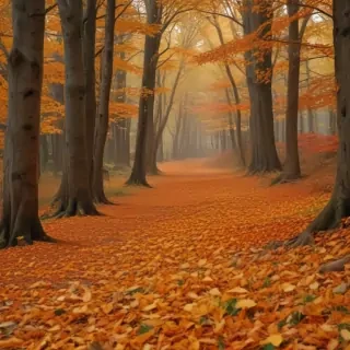 fall leaves aesthetic
