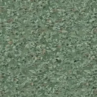 sage green background aesthetic