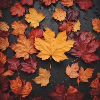 autumn leaves iphone wallpaper