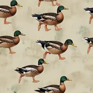 duck wallpaper
