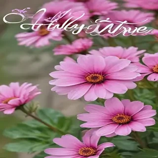 hello june images