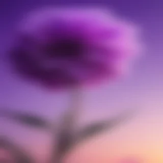 cute purple wallpaper for iphone