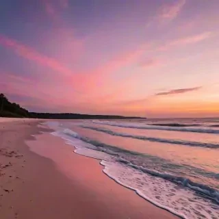 pink beach sunset