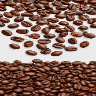 coffee beans png