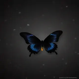black wallpaper butterfly