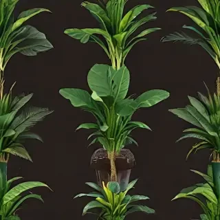 indoor plant png
