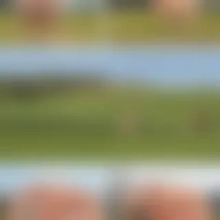 countryside meme
