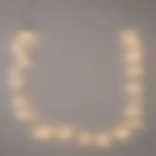 fairy lights png