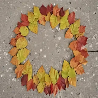 leaf circle