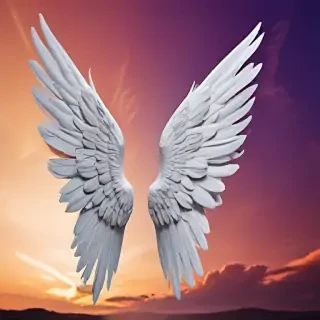wings with background
