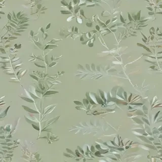 sage green bg