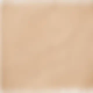 aesthetic ripped paper png