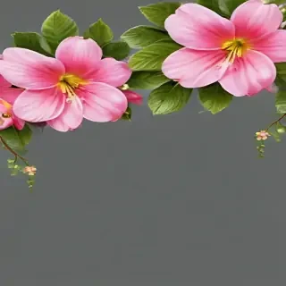 flower border transparent