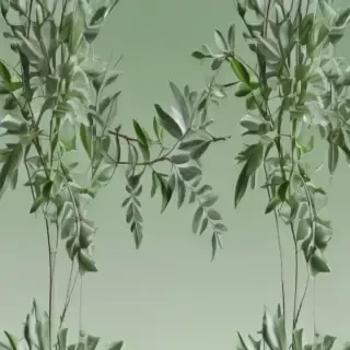 sage green backround