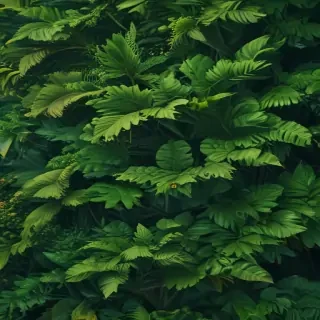 green background wallpaper aesthetic