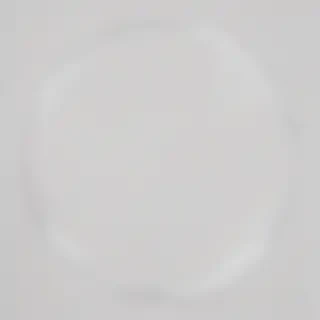 circle transparent