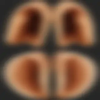 ears png