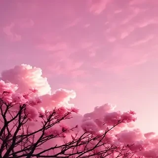 aesthetic pink iphone wallpaper