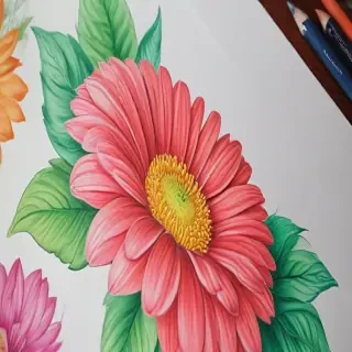 colored drawings of flowers