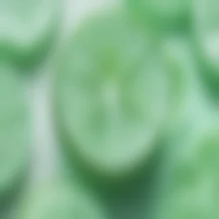mint green aesthetic